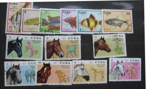 Марки лошади