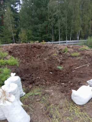 Перегной навоз