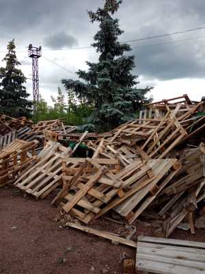 Поддоны деревянные бесплатно