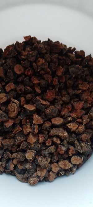 корень калгана.