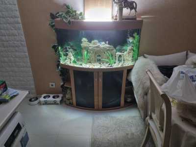 Продам аквариум с рыбками и тумбочкой