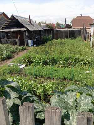 Продам земельный участок в чарте города