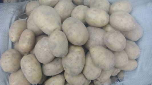 Домашний картофель.