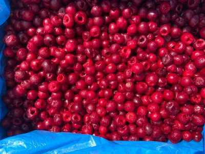   ,       FRESHSAN