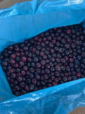  ,       FRESHSAN