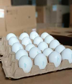 Дивеево яйцо оптом