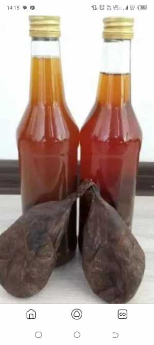 Настойка бобровой струи