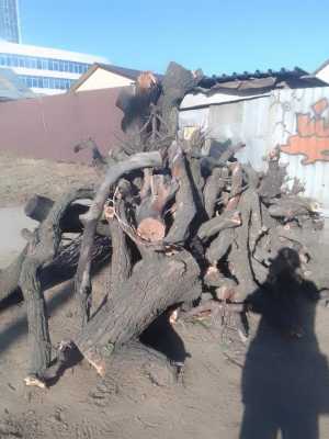 Любителям вкусно поесть