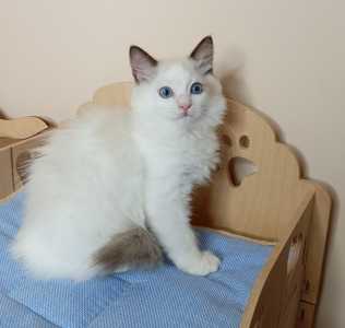 Maximilian SergioMagicHouse