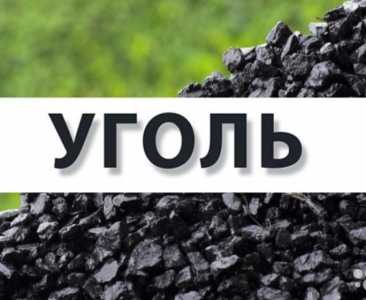 Уголь в биг бегах МКР Семечка двойной просев Орех