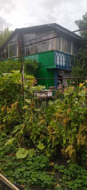 ���� 38 �2 ��� ������� ��������, ����� 76 �2