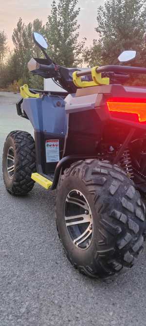 ������ ����������