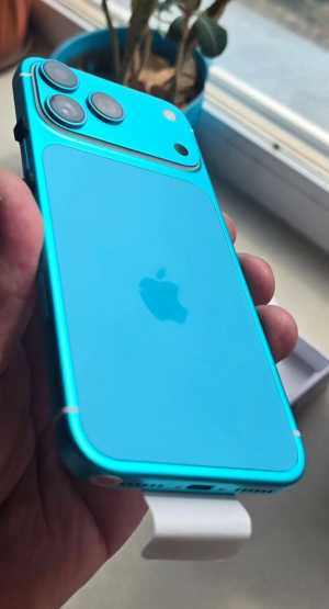����� 17 ��� ����