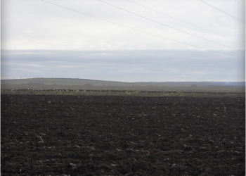 Продам, сдам в аренду, обменяю на недвижимость