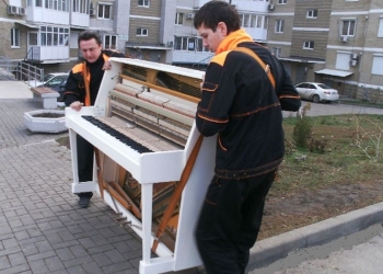 Опытная бригада. Квартирные переезды.