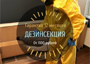 Уничтожение клопов, тараканов, блох