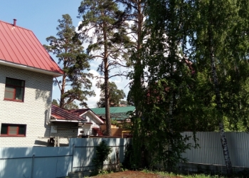 земельный участок в бору