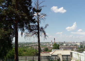 земельный участок в бору