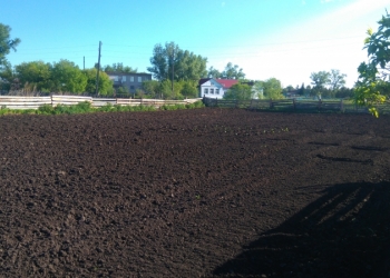Продам дом в с.Кирово
