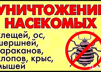 уничтожить клопы блохи муравьи тараканы мыши