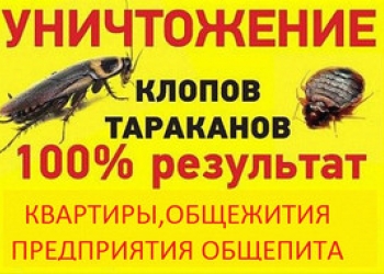 уничтожить клопы блохи муравьи тараканы мыши