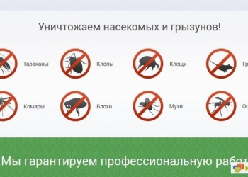уничтожить клопы блохи муравьи тараканы мыши