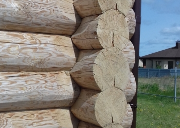 ÑÐÓÁÛ ÎÒ ÏÐÎÈÇÂÎÄÈÒÅËß