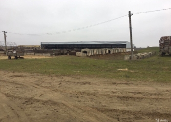 Продаю комплекс для разведения КРС и овец