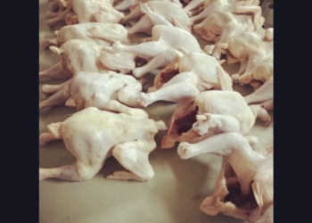 Мясо бройлера