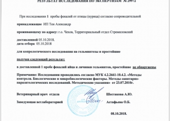 Мясо бройлера