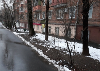 Нежилое помещение в аренду 285 кв.м.