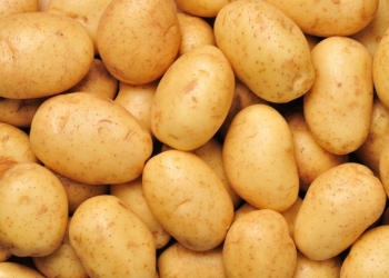 Картофель