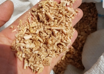 стружка дуб и бук