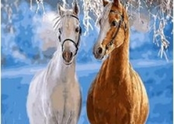 Картины по номерам