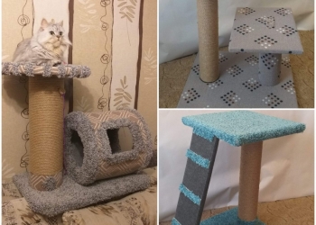 Когтеточки и домики для кошек Казань