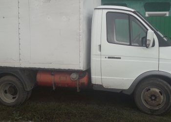Газель