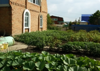 Продам Дача 100 м2