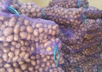 Картофель