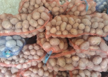 Картофель