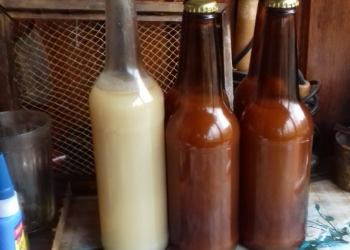 Барсучий жир