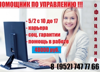 Помощник руководителя