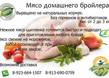 Мясо домашнего бройлера