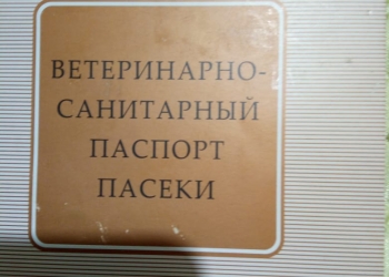 ̸