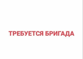 Требуется бригада для разработки делянки