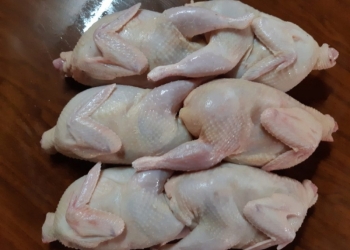 Мясо перепелов