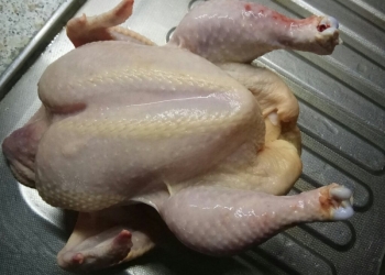 Мясо бройлеров