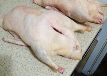 Мясо утки, бройлера