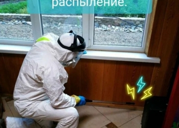  ,,,