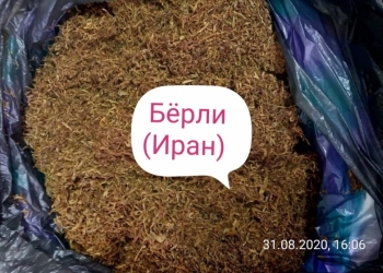 Семена табак, рассада табак ( без химии и примесей)