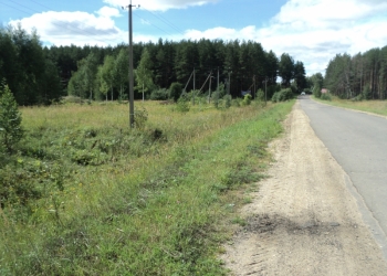 земельный участок 19-20 соток у д.Кресцово. Некрасовский р-н у санатория Золото